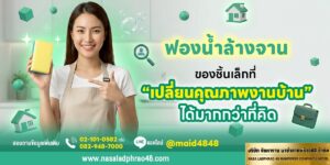 ฟองน้ำล้างจาน: จุดเล็กในครัวที่กำหนดความสะอาดจริง | นาซ่าลาดพร้าวพร้าว48