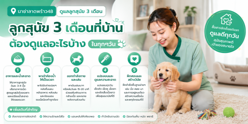 ลูกสุนัข 3 เดือนแรก