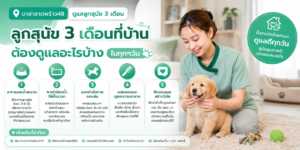 ลูกสุนัข 3 เดือนแรก