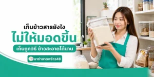 ข้าวสารเก็บแบบไหนไม่ให้มอดขึ้น