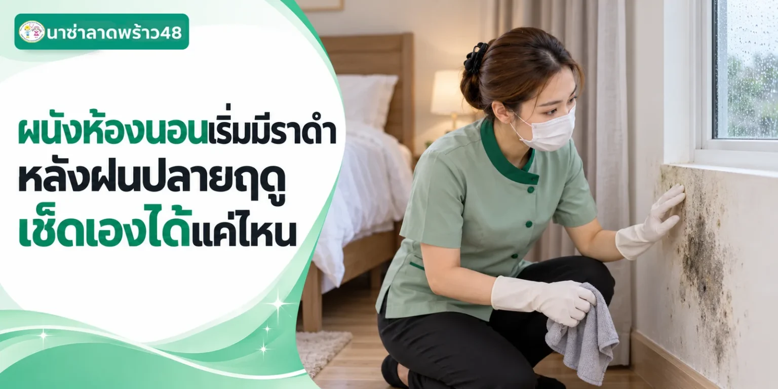 ผนังห้องนอนมีราดำเช็ดเองได้แค่ไหน